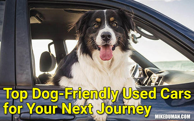 Top three affordable used cars for dog owners