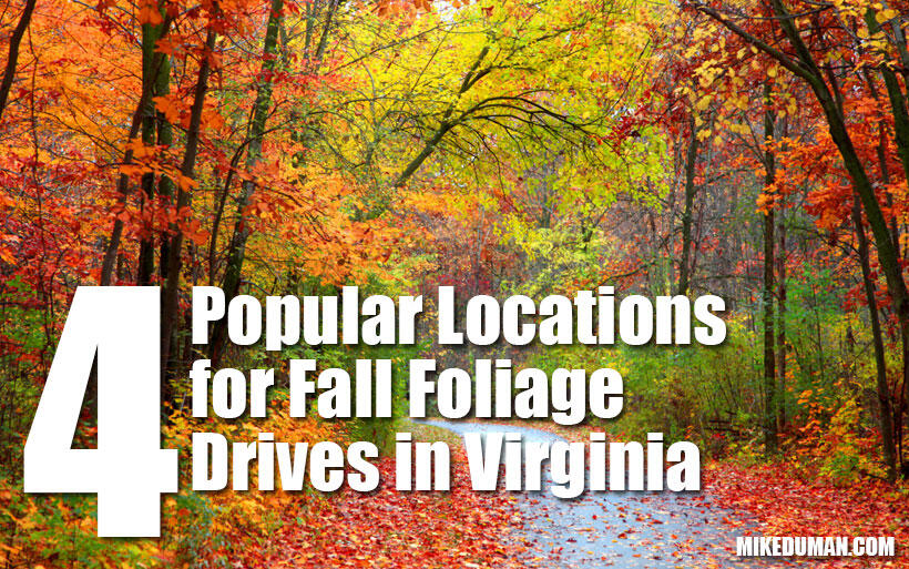 Great Places in Virginia for Fall Foliage Drives